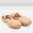 Bloch Performa Balletschoenen van Stretch Canvas voor Kinderen S0284G